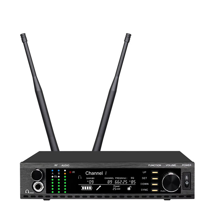 AD4G 声楽に最適なマイク 歌唱用マイク 教会用ワイヤレス - Ribbon Microphone のレビューと価格