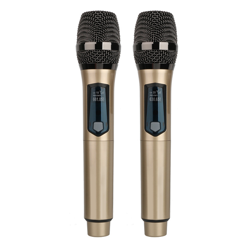 ワイヤレスマイク 2 チャンネル UHF デュアルハンドヘル - Ribbon Microphone のレビューと価格